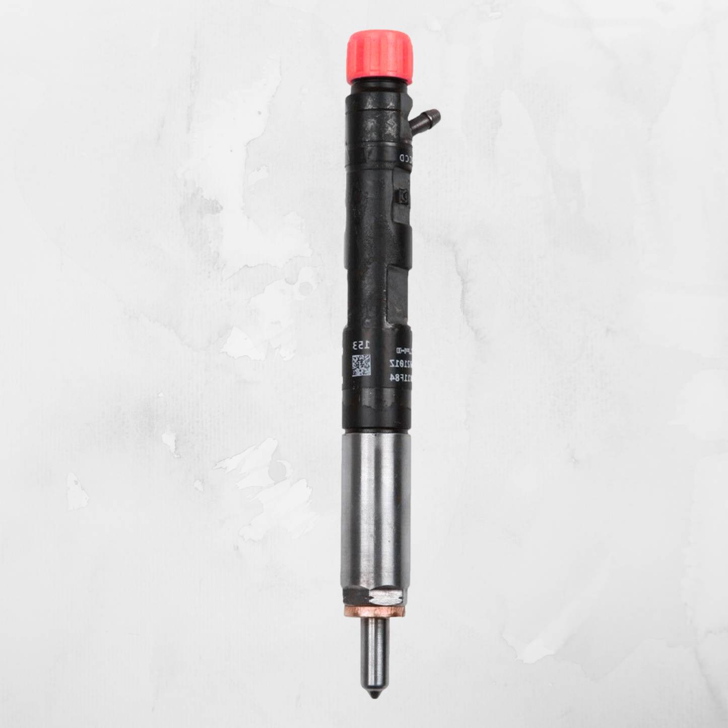 Delphi EJBR03101D - 4 Pakning